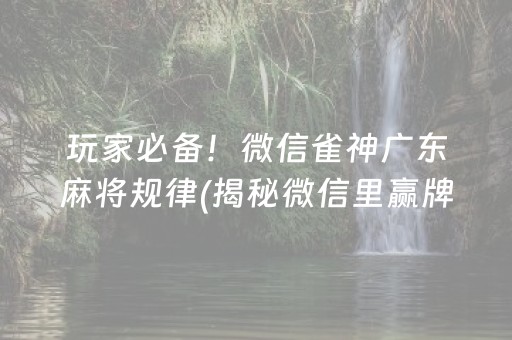 玩家必备！微信雀神广东麻将规律(揭秘微信里赢牌的技巧)