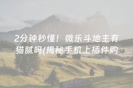 2分钟秒懂！微乐斗地主有猫腻吗(揭秘手机上插件购买)