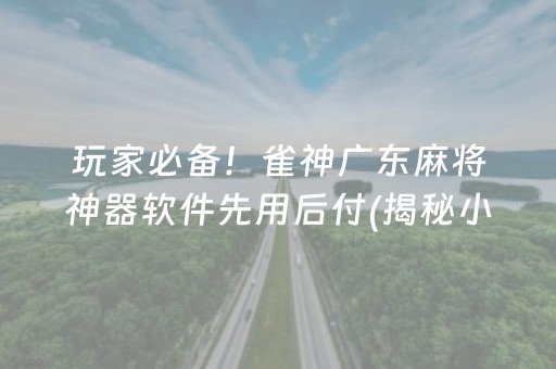 玩家必备！雀神广东麻将神器软件先用后付(揭秘小程序如何让牌变好)