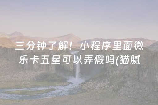 三分钟了解！小程序里面微乐卡五星可以弄假吗(猫腻秘籍真的有挂)