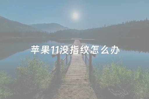 苹果11没指纹怎么办（苹果11没指纹怎么办解锁）