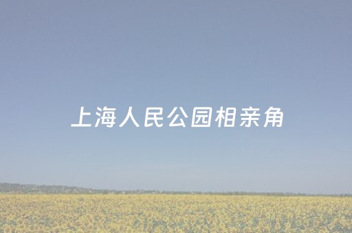 上海人民公园相亲角（上海人民公园相亲角开放时间）