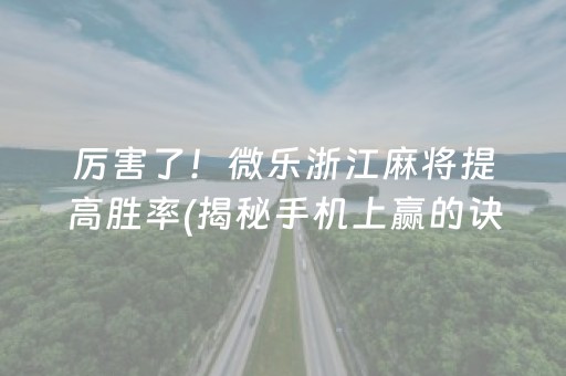 厉害了！微乐浙江麻将提高胜率(揭秘手机上赢的诀窍)