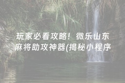 玩家必看攻略！微乐山东麻将助攻神器(揭秘小程序辅牌器)