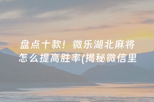 盘点十款！微乐湖北麻将怎么提高胜率(揭秘微信里助赢软件)