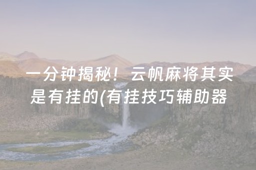 一分钟揭秘！云帆麻将其实是有挂的(有挂技巧辅助器)