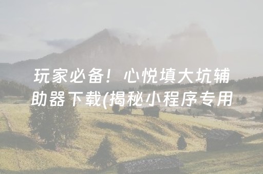 玩家必备！心悦填大坑辅助器下载(揭秘小程序专用神器下载)