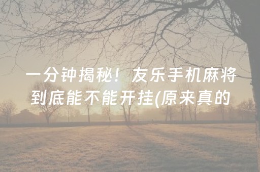 一分钟揭秘！友乐手机麻将到底能不能开挂(原来真的有挂)