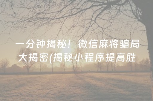 一分钟揭秘！微信麻将骗局大揭密(揭秘小程序提高胜率)