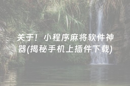 关于！小程序麻将软件神器(揭秘手机上插件下载)