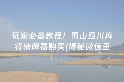 玩家必备教程！蜀山四川麻将辅牌器购买(揭秘微信里规律攻略)