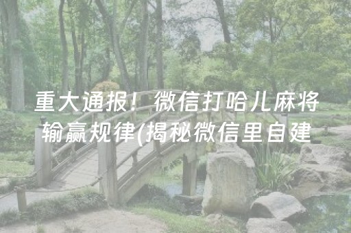 重大通报！微信打哈儿麻将输赢规律(揭秘微信里自建房怎么赢)