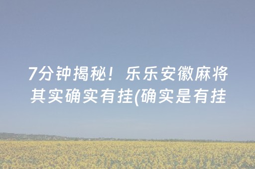 7分钟揭秘！乐乐安徽麻将其实确实有挂(确实是有挂)