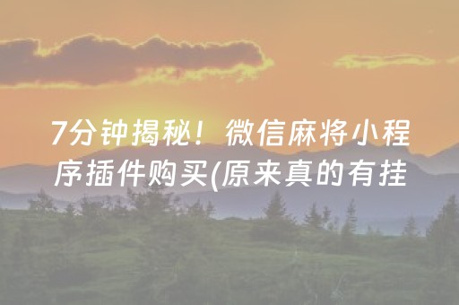 7分钟揭秘！微信麻将小程序插件购买(原来真的有挂呢)