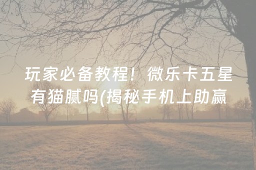 玩家必备教程！微乐卡五星有猫腻吗(揭秘手机上助赢神器购买)