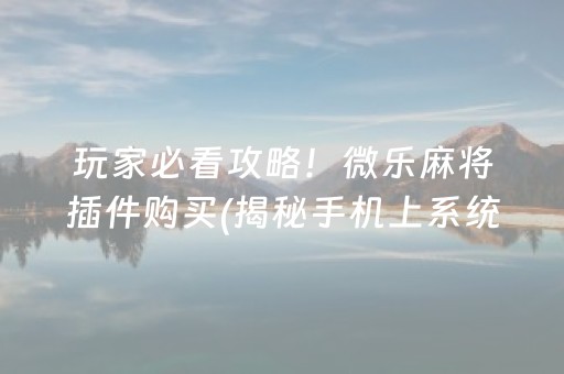 玩家必看攻略！微乐麻将插件购买(揭秘手机上系统发好牌)