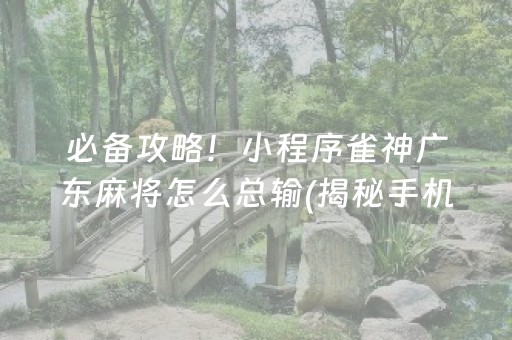 必备攻略！小程序雀神广东麻将怎么总输(揭秘手机上攻略插件)