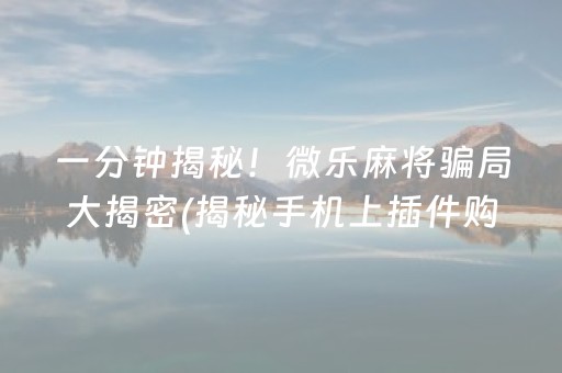 一分钟揭秘！微乐麻将骗局大揭密(揭秘手机上插件购买)