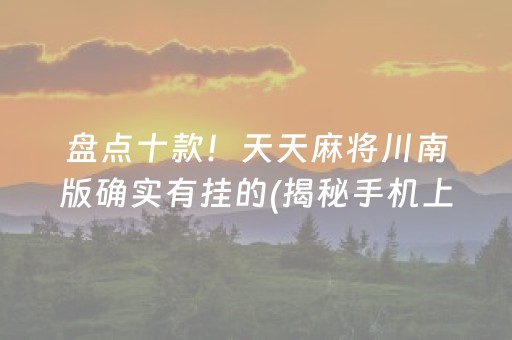 盘点十款！天天麻将川南版确实有挂的(揭秘手机上确实有猫腻)