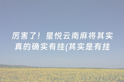 厉害了！星悦云南麻将其实真的确实有挂(其实是有挂的)