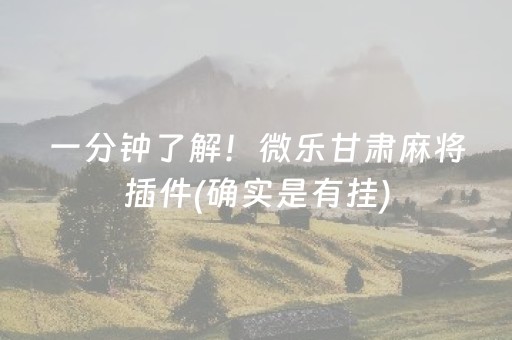 一分钟了解！微乐甘肃麻将插件(确实是有挂)