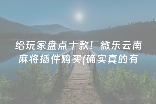 给玩家盘点十款！微乐云南麻将插件购买(确实真的有挂)