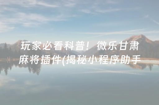 玩家必看科普！微乐甘肃麻将插件(揭秘小程序助手软件)