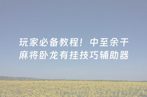 玩家必备教程！中至余干麻将卧龙有挂技巧辅助器(其实真的有挂)