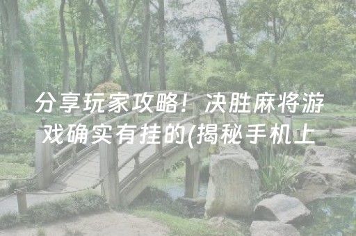 分享玩家攻略！决胜麻将游戏确实有挂的(揭秘手机上胡牌神器)