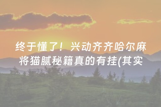 终于懂了！兴动齐齐哈尔麻将猫腻秘籍真的有挂(其实是有挂确实有挂)