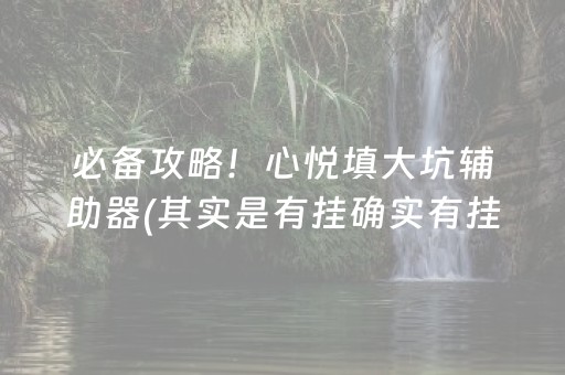 必备攻略！心悦填大坑辅助器(其实是有挂确实有挂)