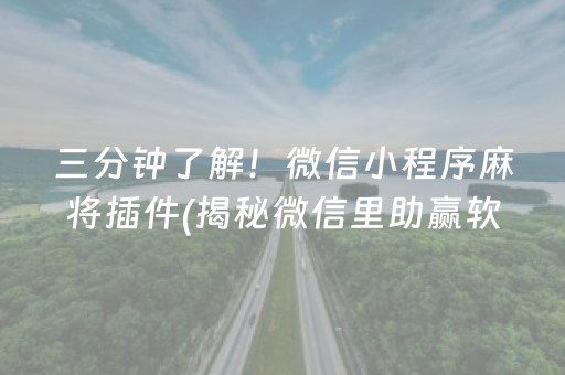 三分钟了解！微信小程序麻将插件(揭秘微信里助赢软件)