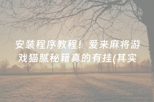 安装程序教程！爱来麻将游戏猫腻秘籍真的有挂(其实确实有挂)
