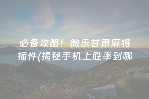 必备攻略！微乐甘肃麻将插件(揭秘手机上胜率到哪调)