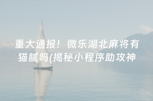 重大通报！微乐湖北麻将有猫腻吗(揭秘小程序助攻神器)