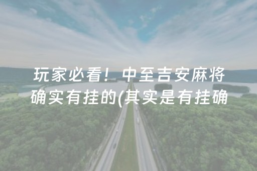 玩家必看！中至吉安麻将确实有挂的(其实是有挂确实有挂)