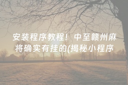 安装程序教程！中至赣州麻将确实有挂的(揭秘小程序胡牌技巧)