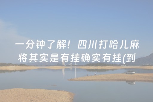 一分钟了解！四川打哈儿麻将其实是有挂确实有挂(到底是不是有挂)