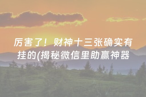 厉害了！财神十三张确实有挂的(揭秘微信里助赢神器购买)