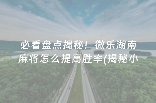 必看盘点揭秘！微乐湖南麻将怎么提高胜率(揭秘小程序提高胜率)