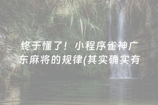 终于懂了！小程序雀神广东麻将的规律(其实确实有挂)