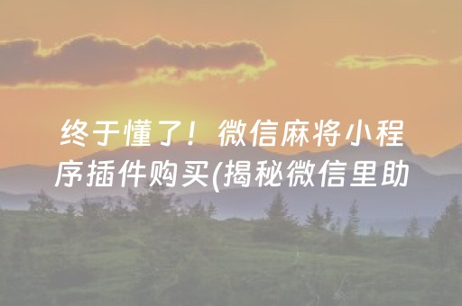 终于懂了！微信麻将小程序插件购买(揭秘微信里助赢神器)