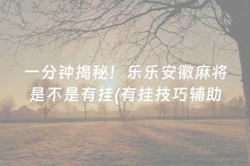 一分钟揭秘！乐乐安徽麻将是不是有挂(有挂技巧辅助器)