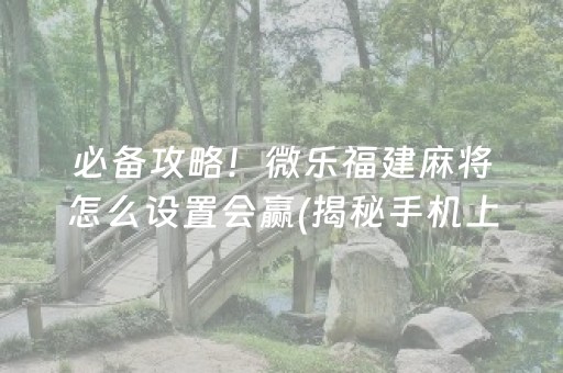 必备攻略！微乐福建麻将怎么设置会赢(揭秘手机上最新神器下载)