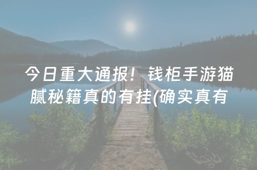 今日重大通报！钱柜手游猫腻秘籍真的有挂(确实真有挂)