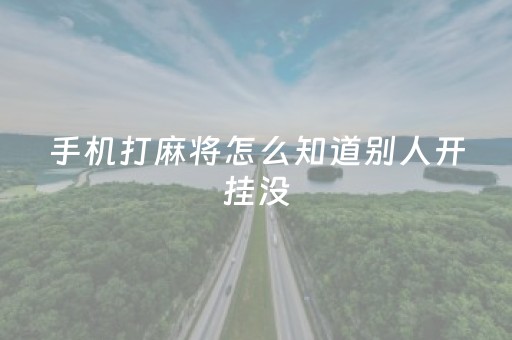 手机打麻将怎么知道别人开挂没（手机麻将怎样看出别人开挂）