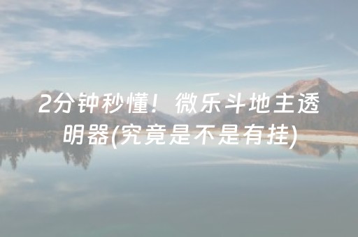 2分钟秒懂！微乐斗地主透明器(究竟是不是有挂)