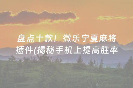 盘点十款！微乐宁夏麻将插件(揭秘手机上提高胜率)