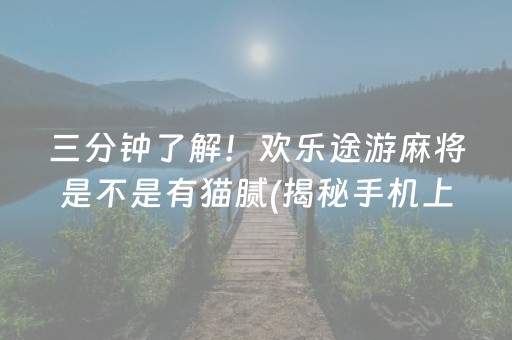 三分钟了解！欢乐途游麻将是不是有猫腻(揭秘手机上辅牌器)