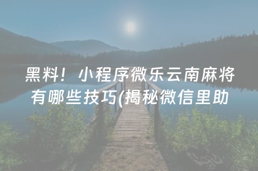 黑料！小程序微乐云南麻将有哪些技巧(揭秘微信里助赢神器购买)